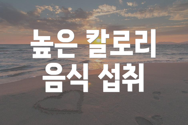 높은 칼로리 음식 섭취