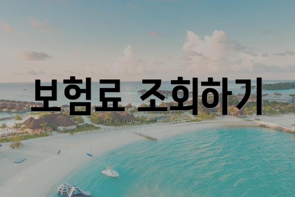 보험료 조회하기