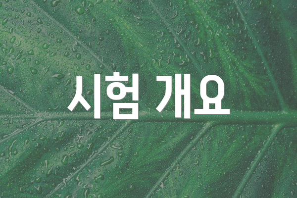 시험 개요