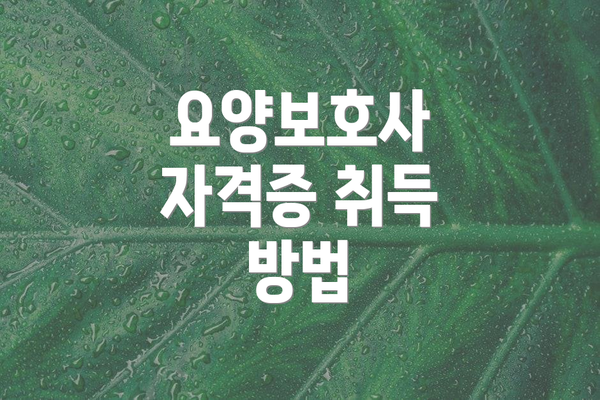 요양보호사 자격증 취득 방법