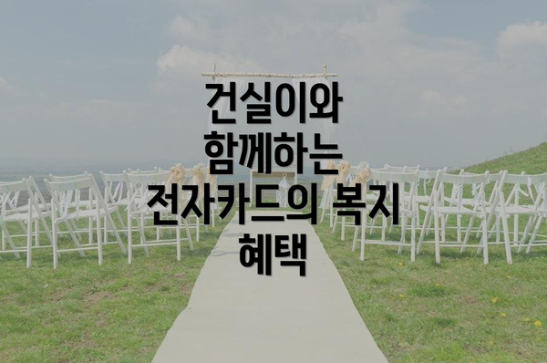 건실이와 함께하는 전자카드의 복지 혜택