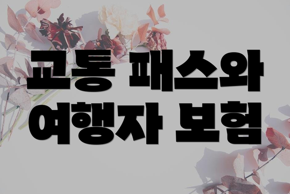 교통 패스와 여행자 보험