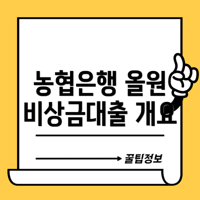 농협은행 올원 비상금대출 개요