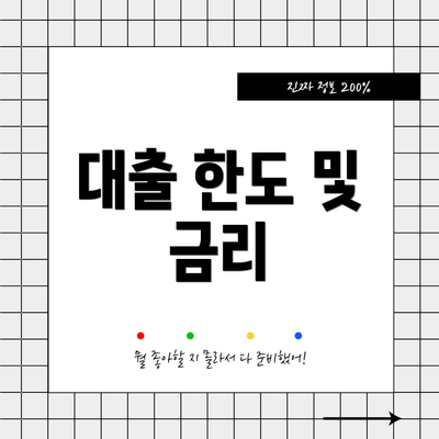 대출 한도 및 금리