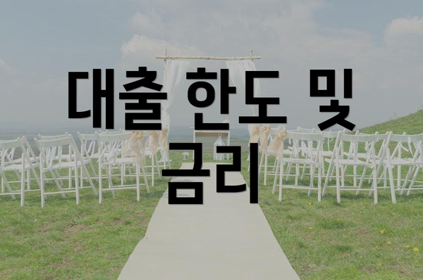 대출 한도 및 금리