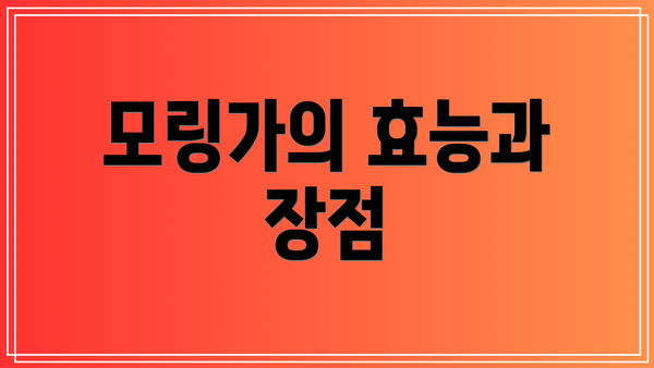 모링가의 효능과 장점