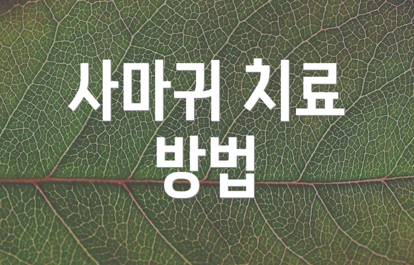 사마귀 치료 방법