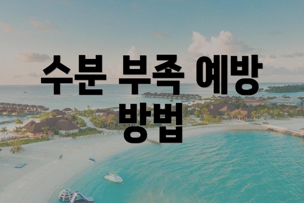 수분 부족 예방 방법