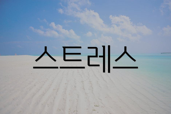 스트레스