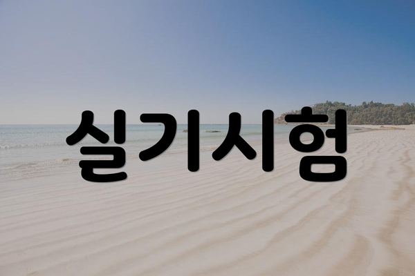 실기시험