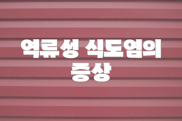 역류성 식도염의 증상