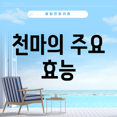 천마의 주요 효능