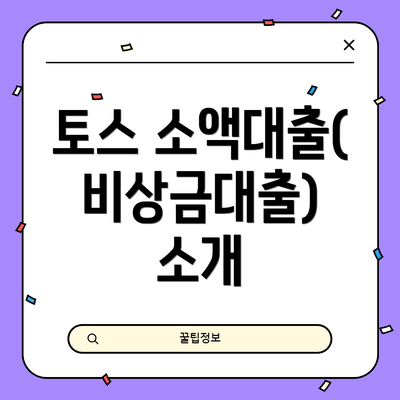 토스 소액대출(비상금대출) 소개