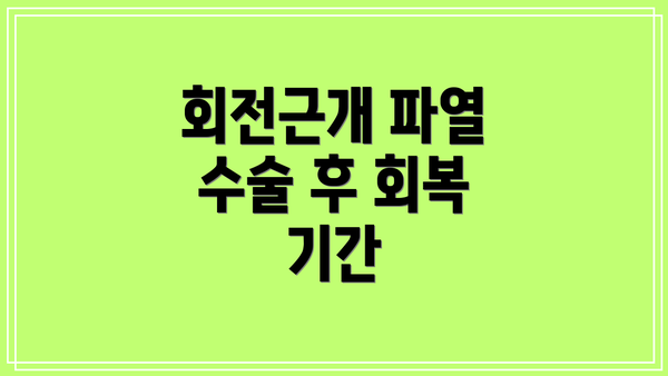 회전근개 파열 수술 후 회복 기간