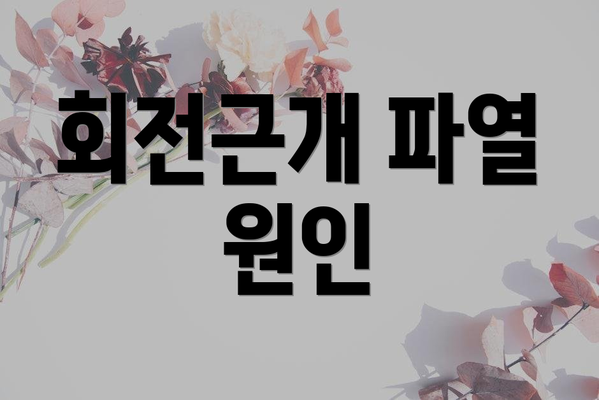 회전근개 파열 원인