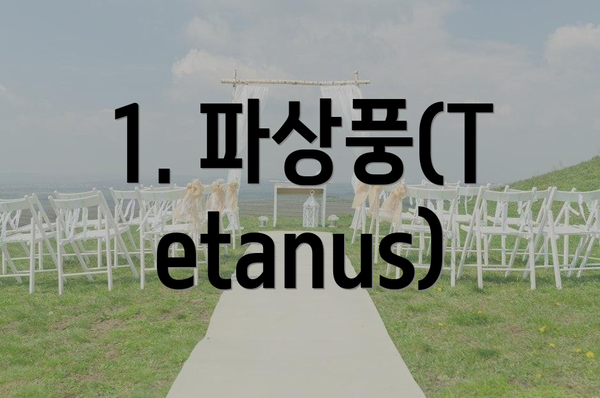 1. 파상풍(Tetanus)