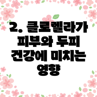 2. 클로렐라가 피부와 두피 건강에 미치는 영향