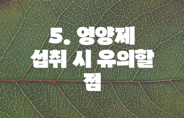 5. 영양제 섭취 시 유의할 점