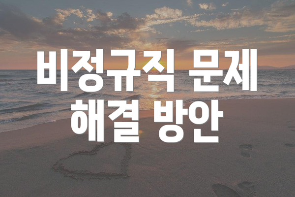 비정규직 문제 해결 방안