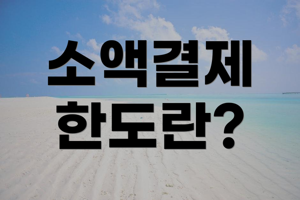 소액결제 한도란?