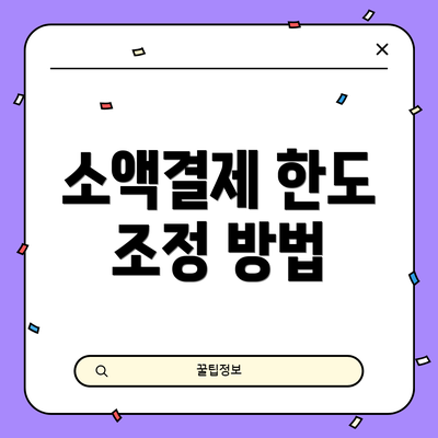 소액결제 한도 조정 방법