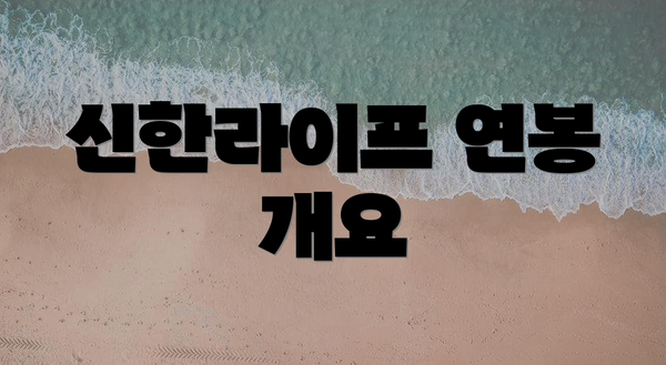 신한라이프 연봉 개요