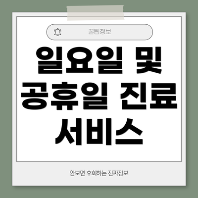 일요일 및 공휴일 진료 서비스