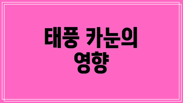 태풍 카눈의 영향