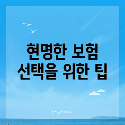 현명한 보험 선택을 위한 팁