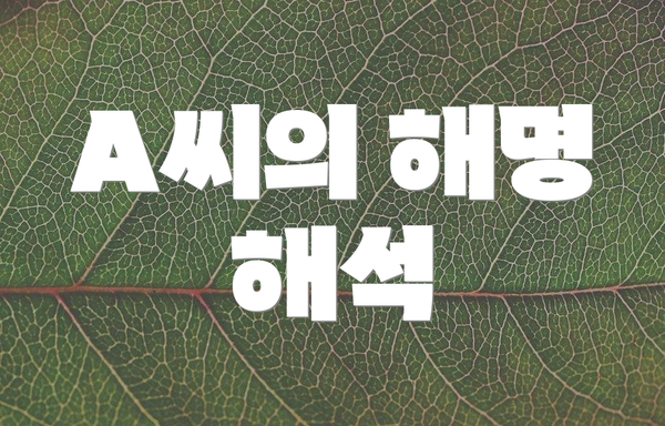 A씨의 해명 해석