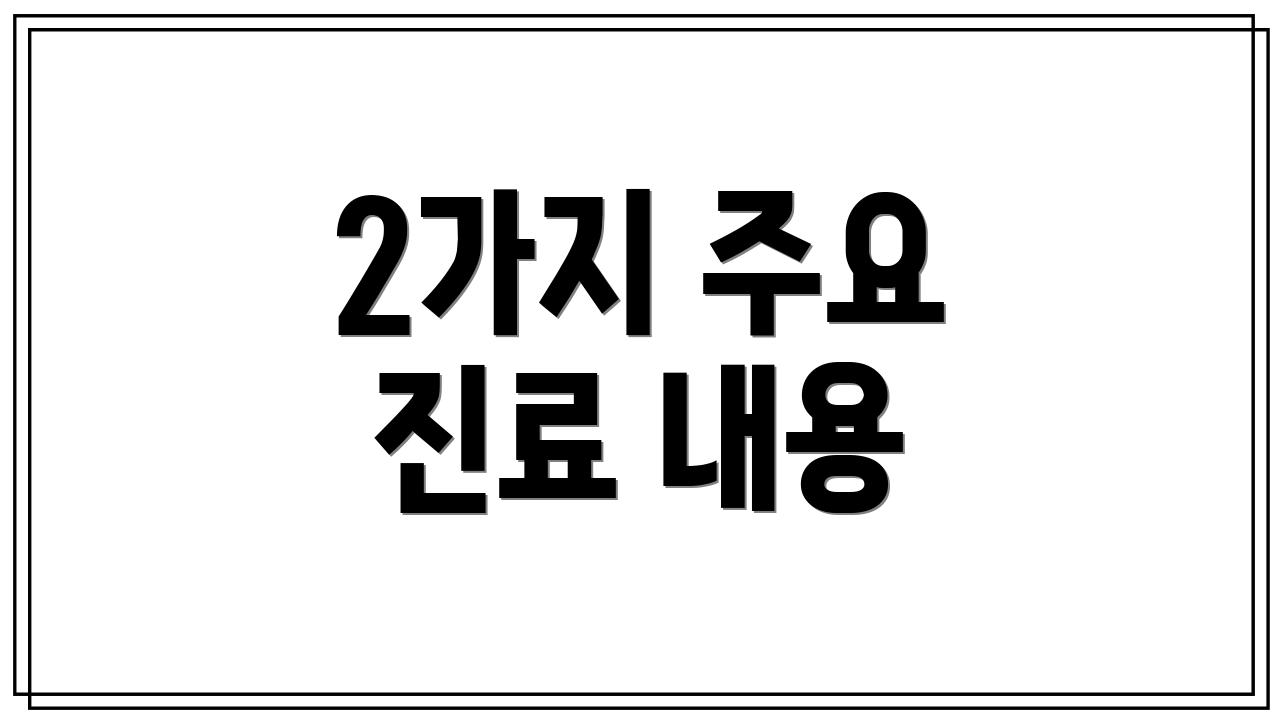 2가지 주요 진료 내용