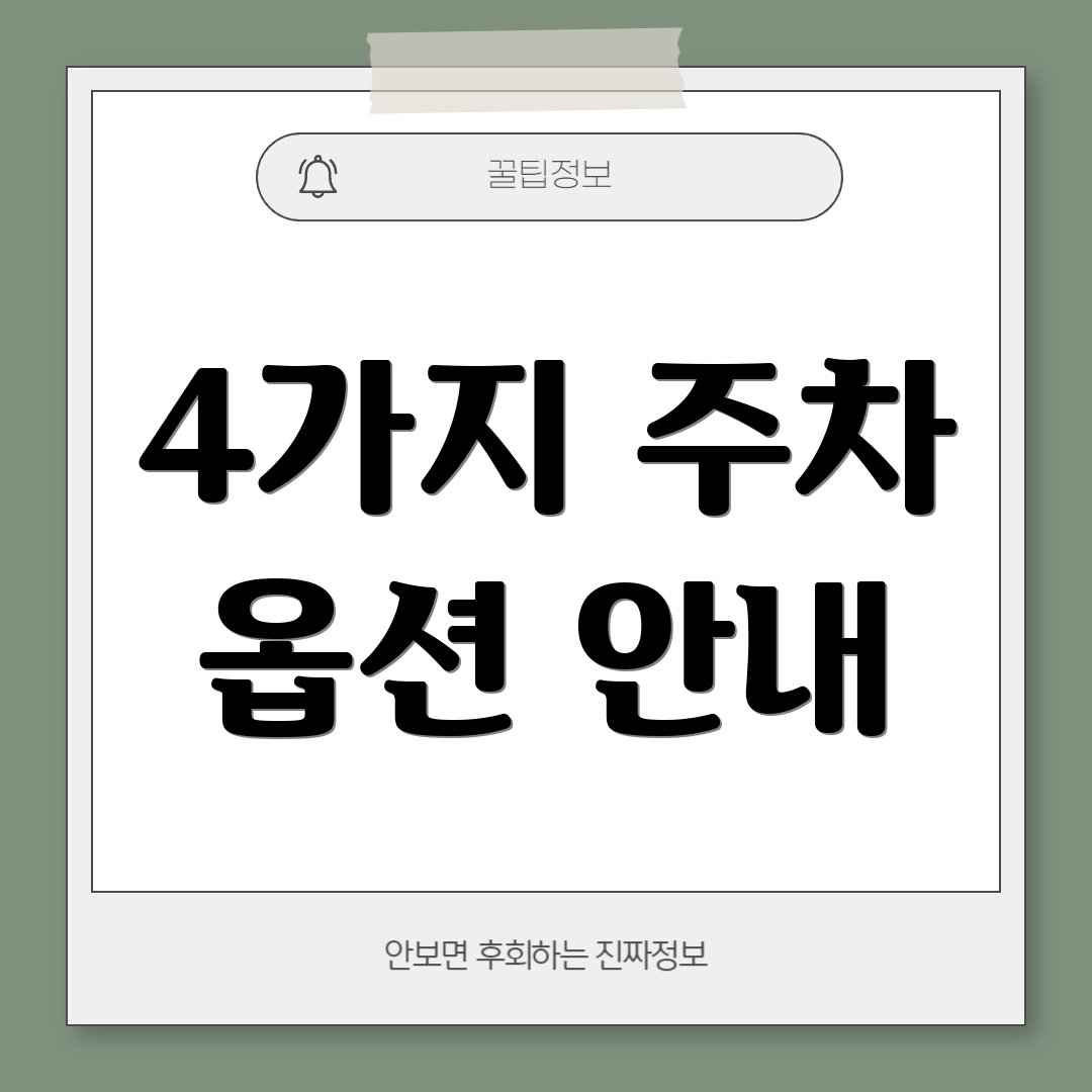4가지 주차 옵션 안내
