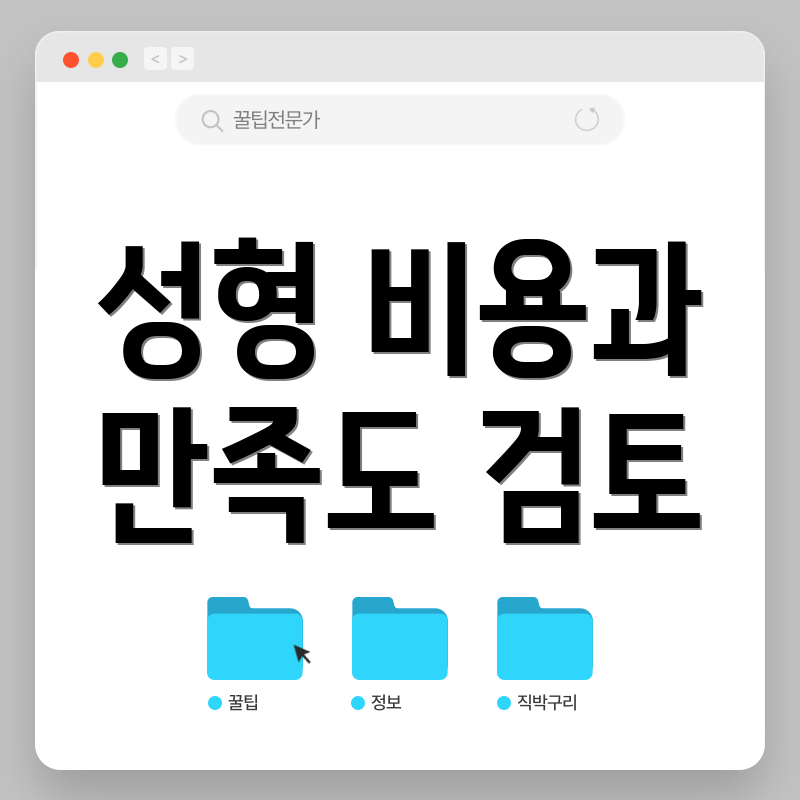 성형 비용과 만족도 검토