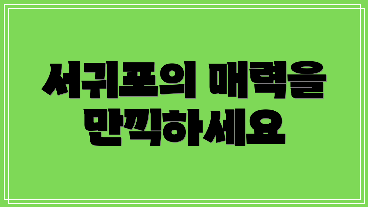 서귀포의 매력을 만끽하세요