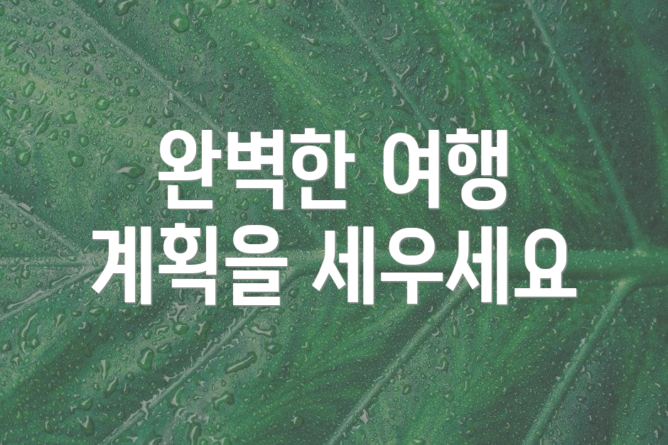 완벽한 여행 계획을 세우세요