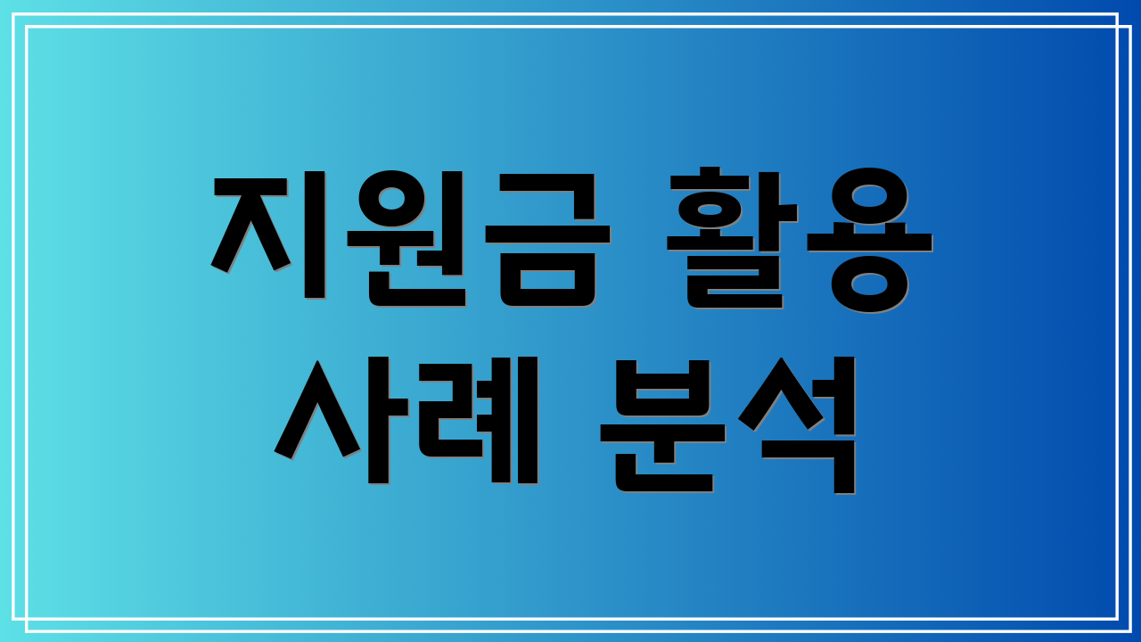 지원금 활용 사례 분석