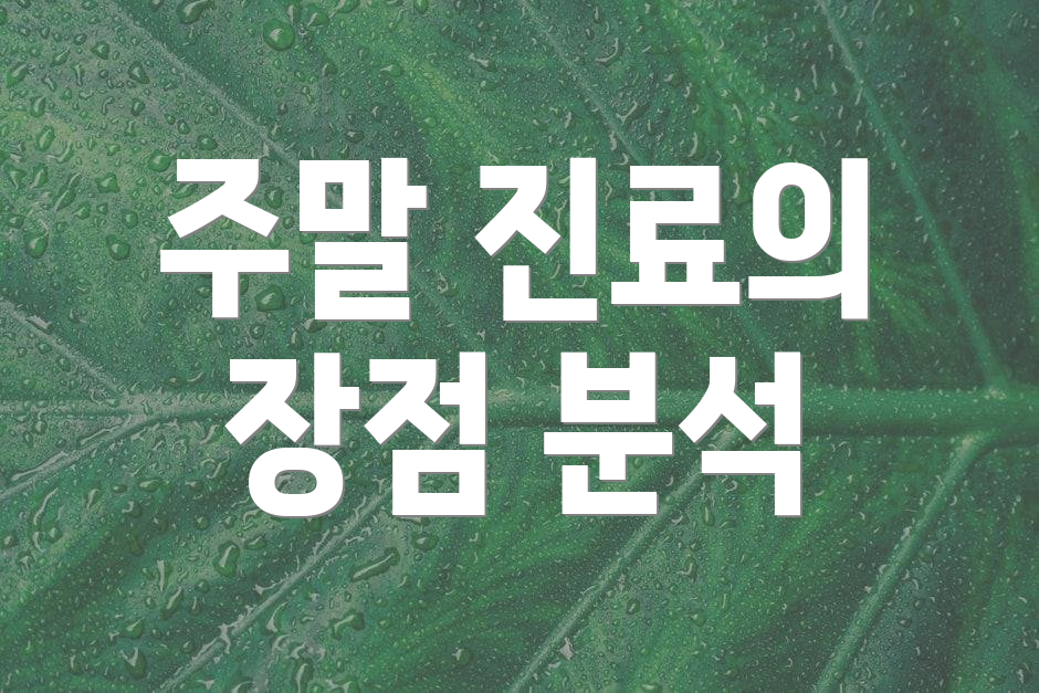 주말 진료의 장점 분석
