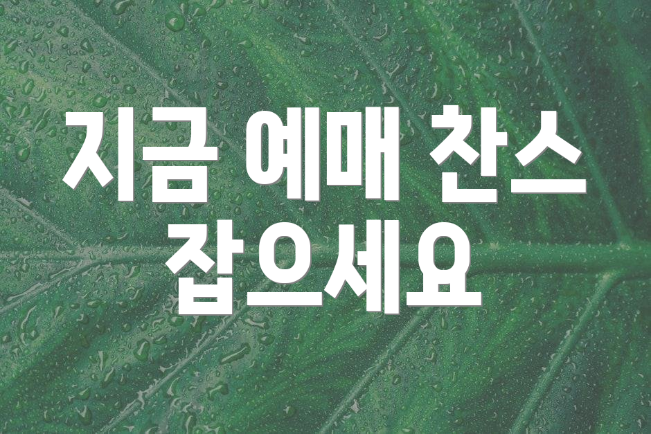 지금 예매 찬스 잡으세요