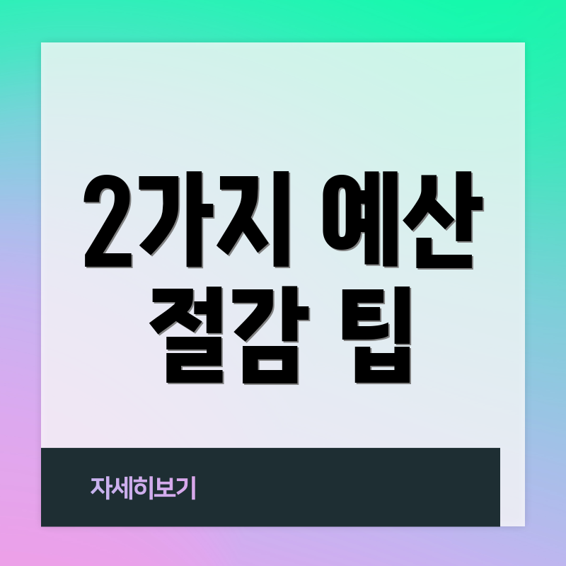 2가지 예산 절감 팁