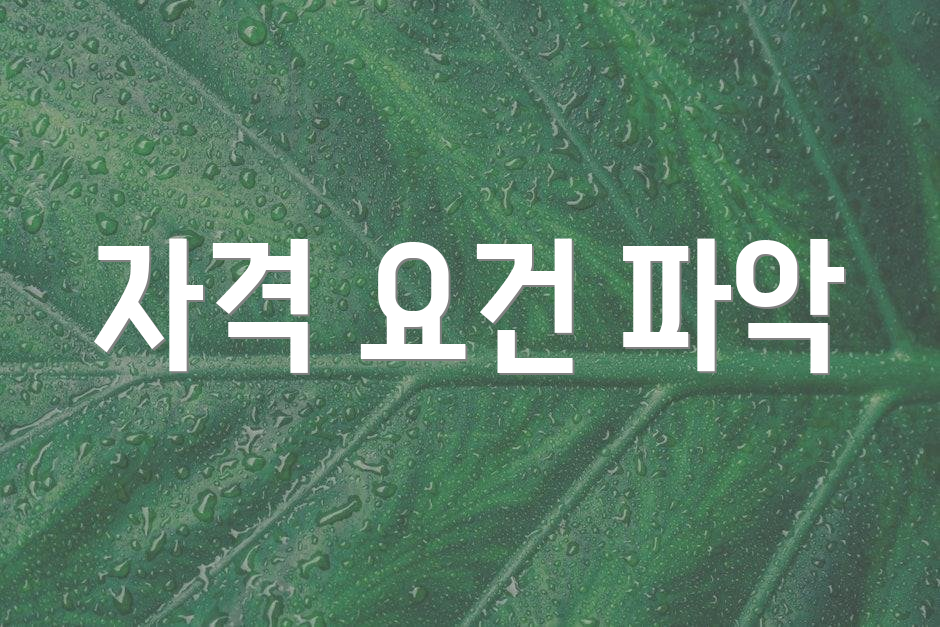 자격 요건 파악