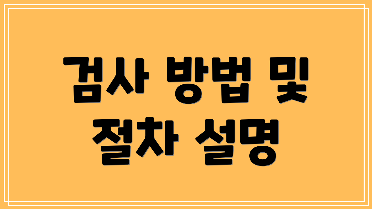 검사 방법 및 절차 설명