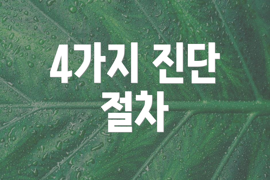 4가지 진단 절차