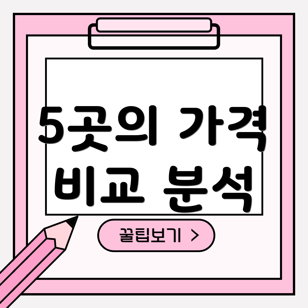 5곳의 가격 비교 분석