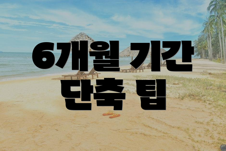 6개월 기간 단축 팁