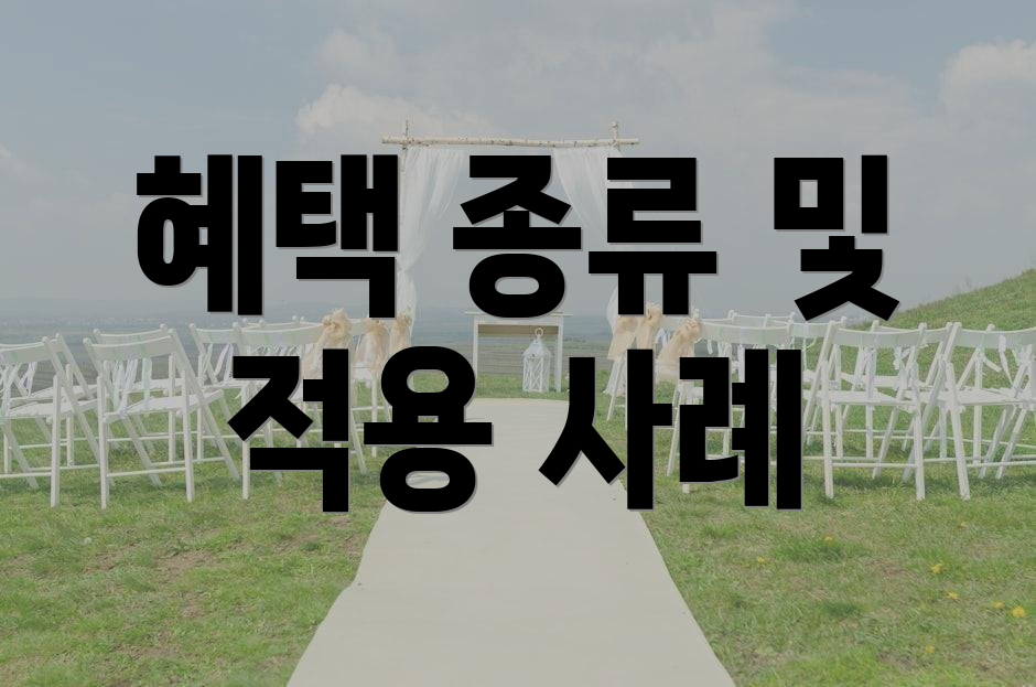 혜택 종류 및 적용 사례