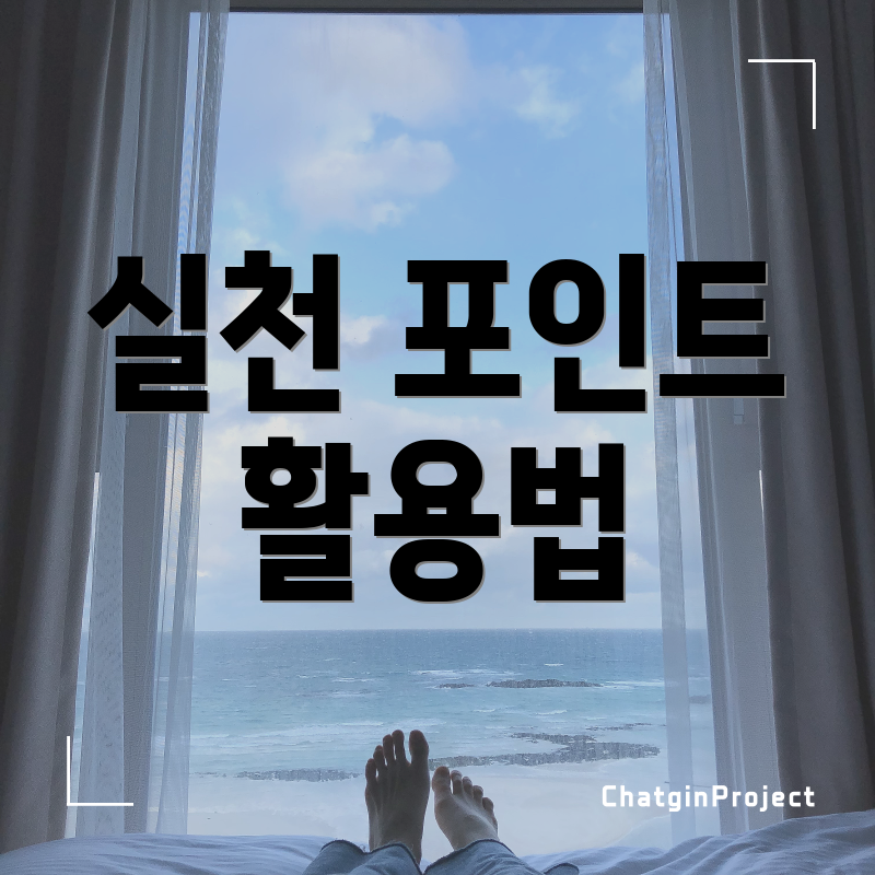 실천 포인트 활용법