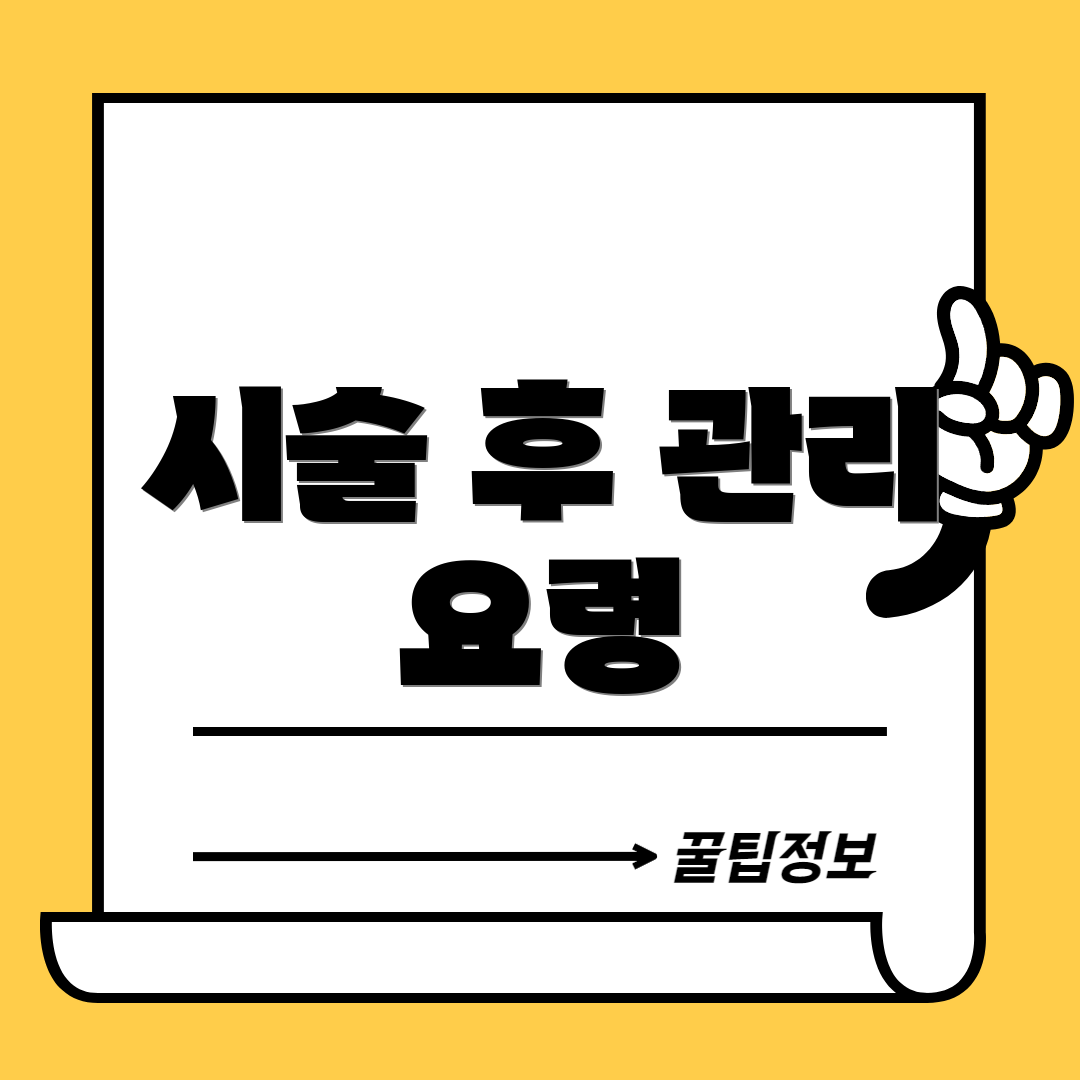 시술 후 관리 요령