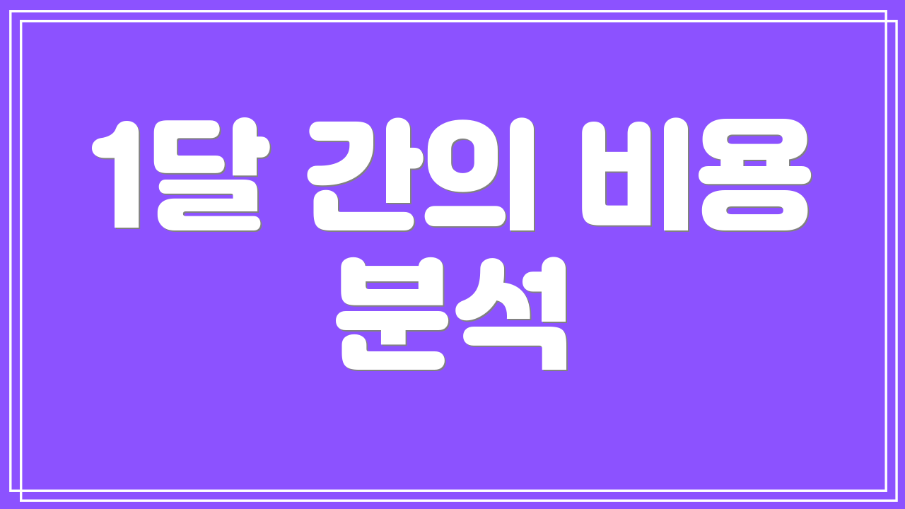 1달 간의 비용 분석