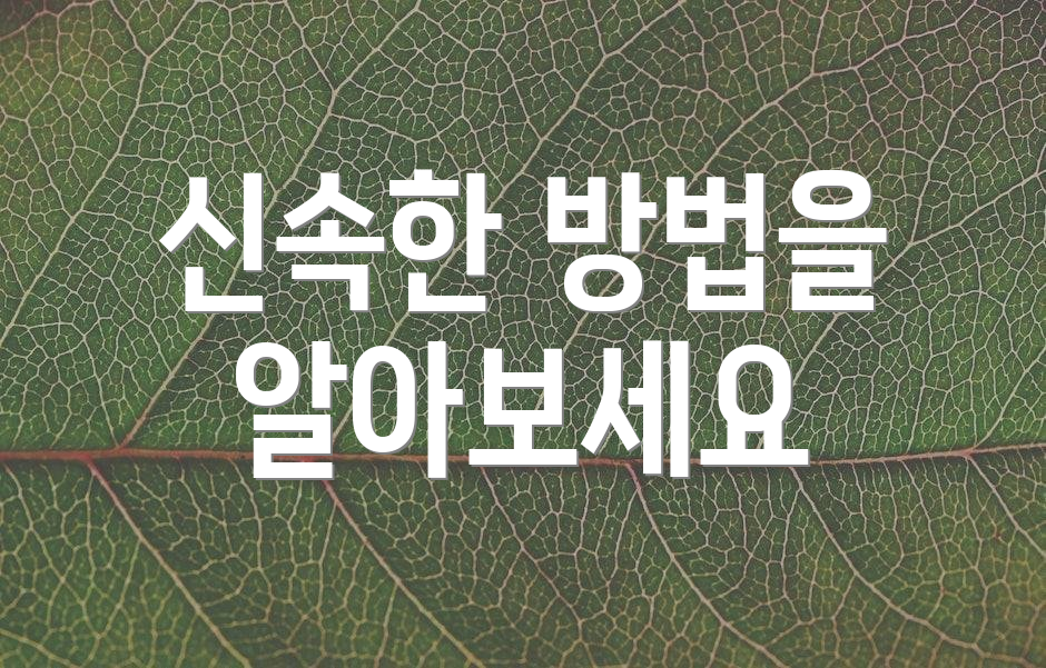 신속한 방법을 알아보세요