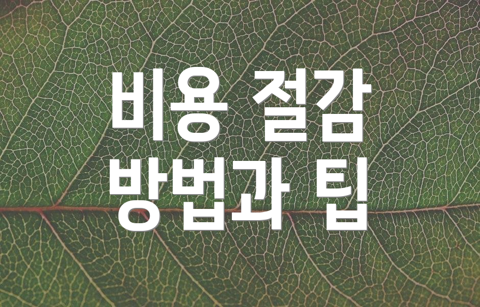 비용 절감 방법과 팁